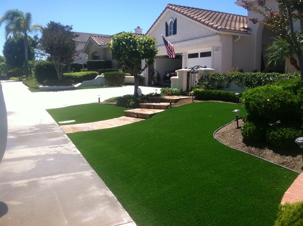 Hybrid Turf'