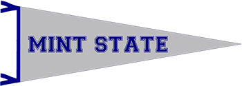 Company Logo For MINT State Inc.'