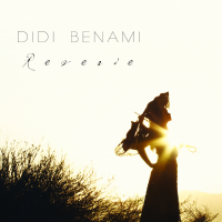 Didi Benami album
