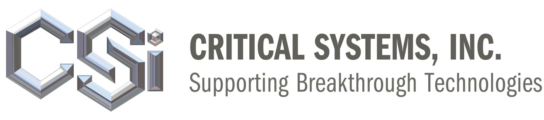 Company Logo For Critical Systems, Inc.'