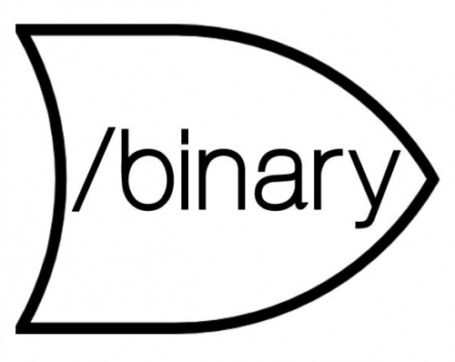 Company Logo For /Binary'