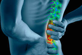low back pain'