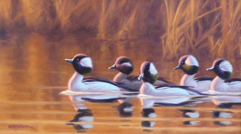 Historic Delta Marsh Hunting Property For Sale!'