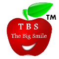 Company Logo For The Big Smile Dental'