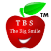 Company Logo For The Big Smile Dental'