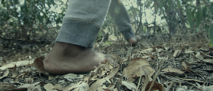 THE TREES - A Bold Suspenseful Feature Film