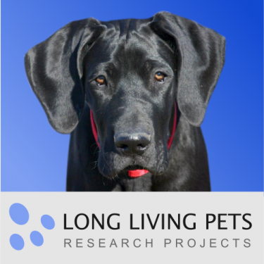 Extending the lifespan of our beloved dogs - Research