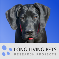 Extending the lifespan of our beloved dogs - Research
