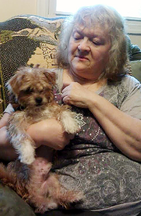 Meals for the Pets of Homebound Seniors'