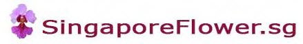 Singapore Flower Florist'