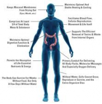 effects of toxins in water