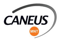 Logo for CANEUS International'
