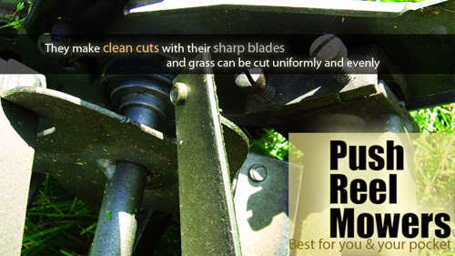 Push Reel Mower'