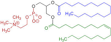 Phosphatidylcholine