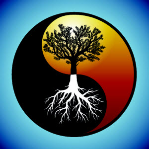 balancedgrowthmed