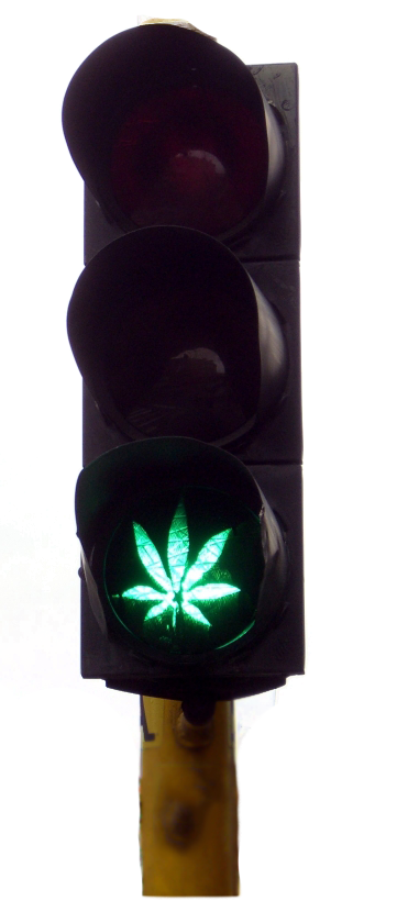 Marijuana green means go'