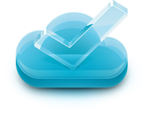 Web Hosting Provider