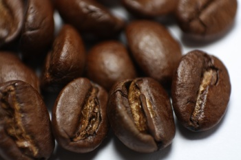 Kaffee 4 Life
