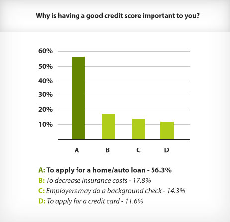 Why is having a good credit score important to you?-Survey'