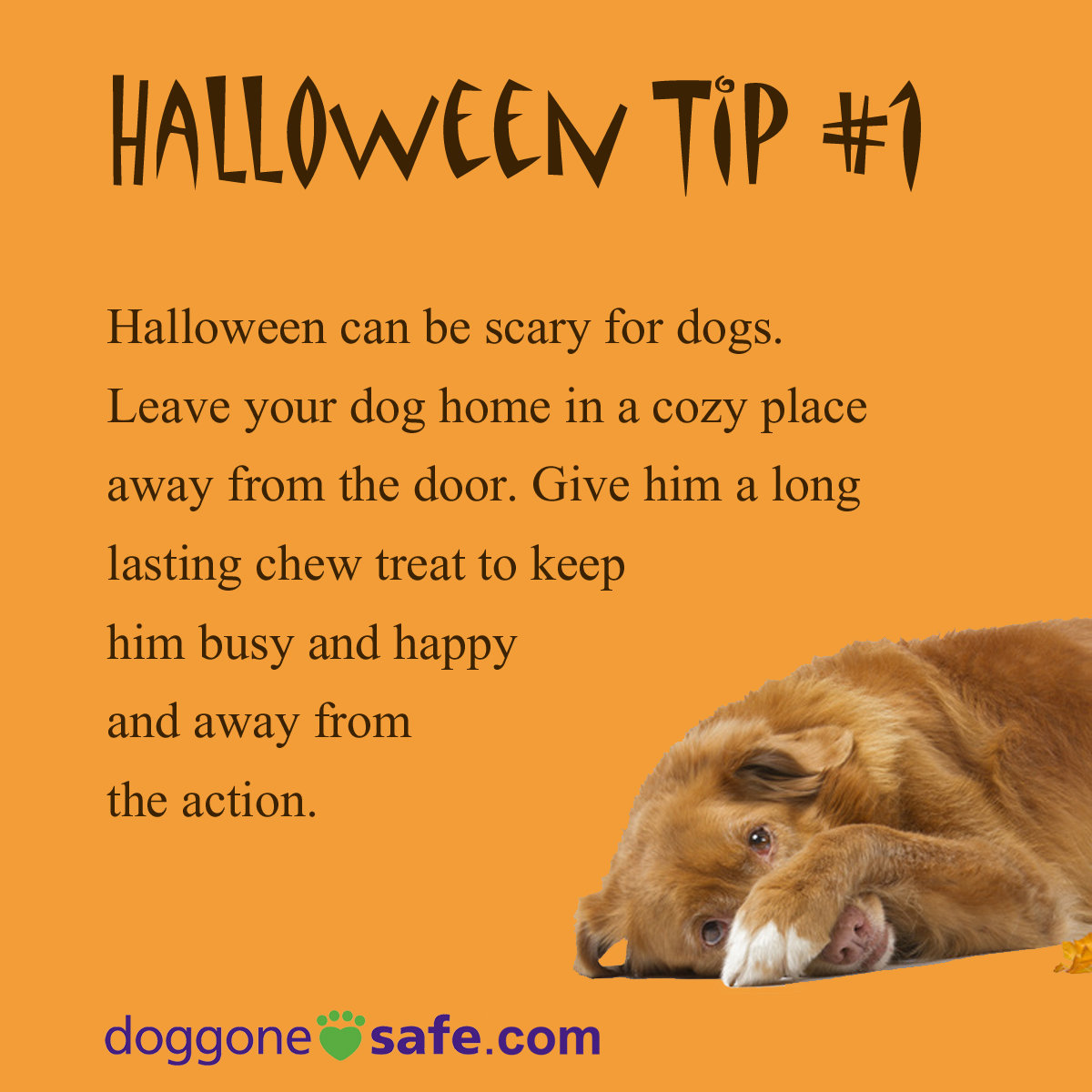 Halloween Tip