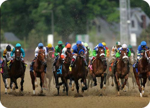 Kentucky Derby Online