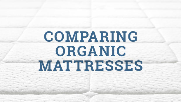 Organic Mattress Brands Compared by The Best Mattress