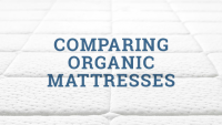 Organic Mattress Brands Compared by The Best Mattress
