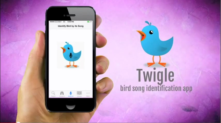 Twigle Bird Song Id App'