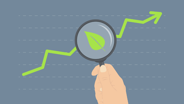 Eco-Friendly and Organic Mattress Trends Analyzed by Mattres