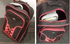 Venus will easily fit into a standard backpack