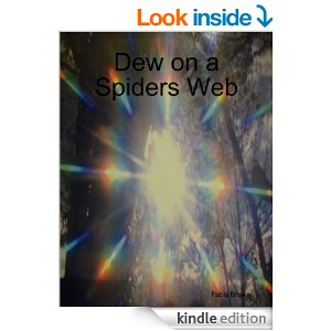 Dew on a Spiders Web