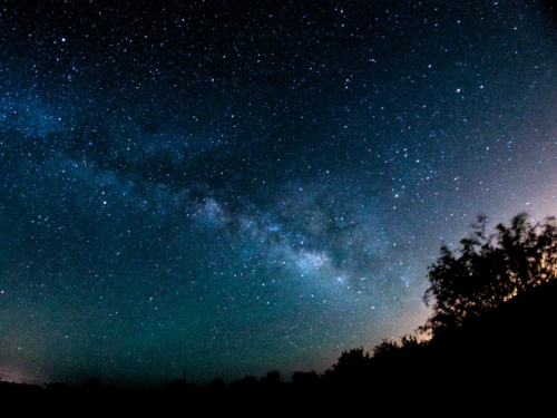 The Milky Way over Oracle State Park by Mike Weasner.'
