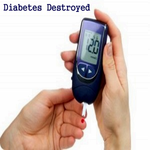 Diabetes Destroyed Program Review'