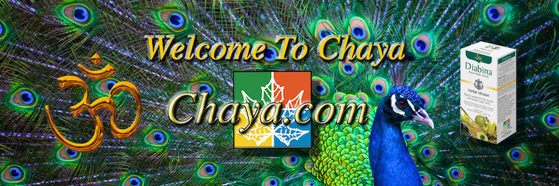 Welcome To Chaya - Chaya.com