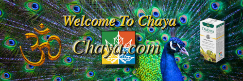Welcome To Chaya - Chaya.com'
