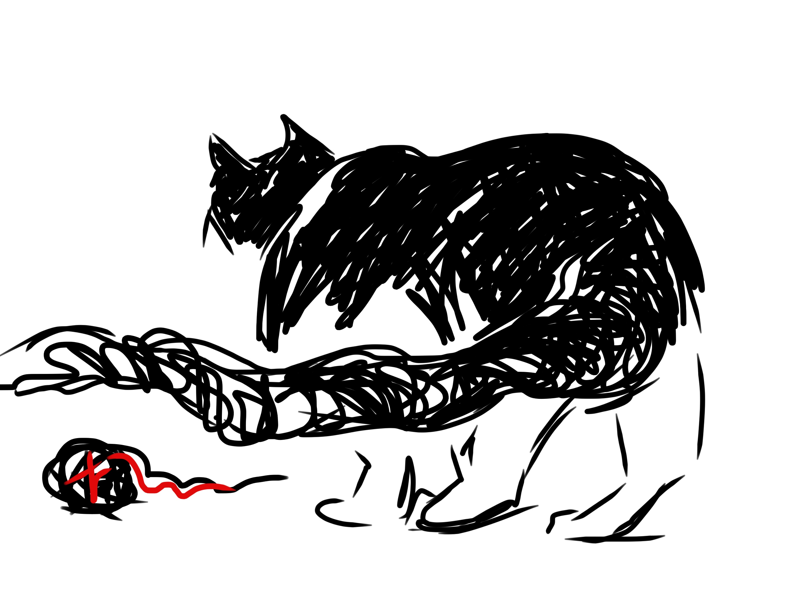 Meow Mondays : 2015'