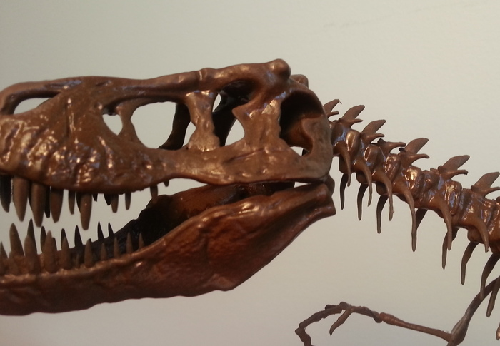 T.Rex: An Affordable, High Quality Dinosaur Fossil'