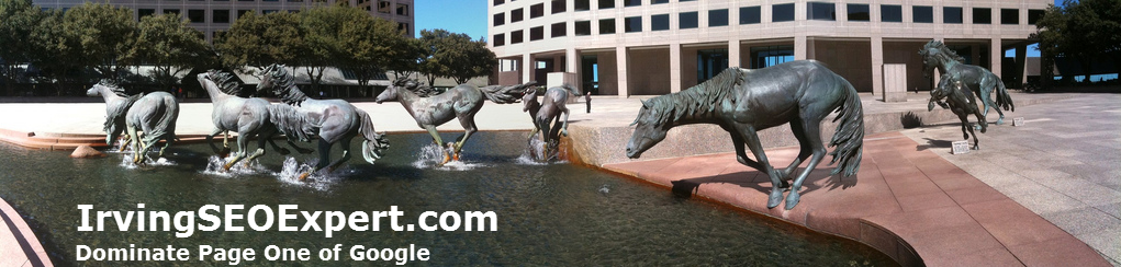 Irving SEO Expert'