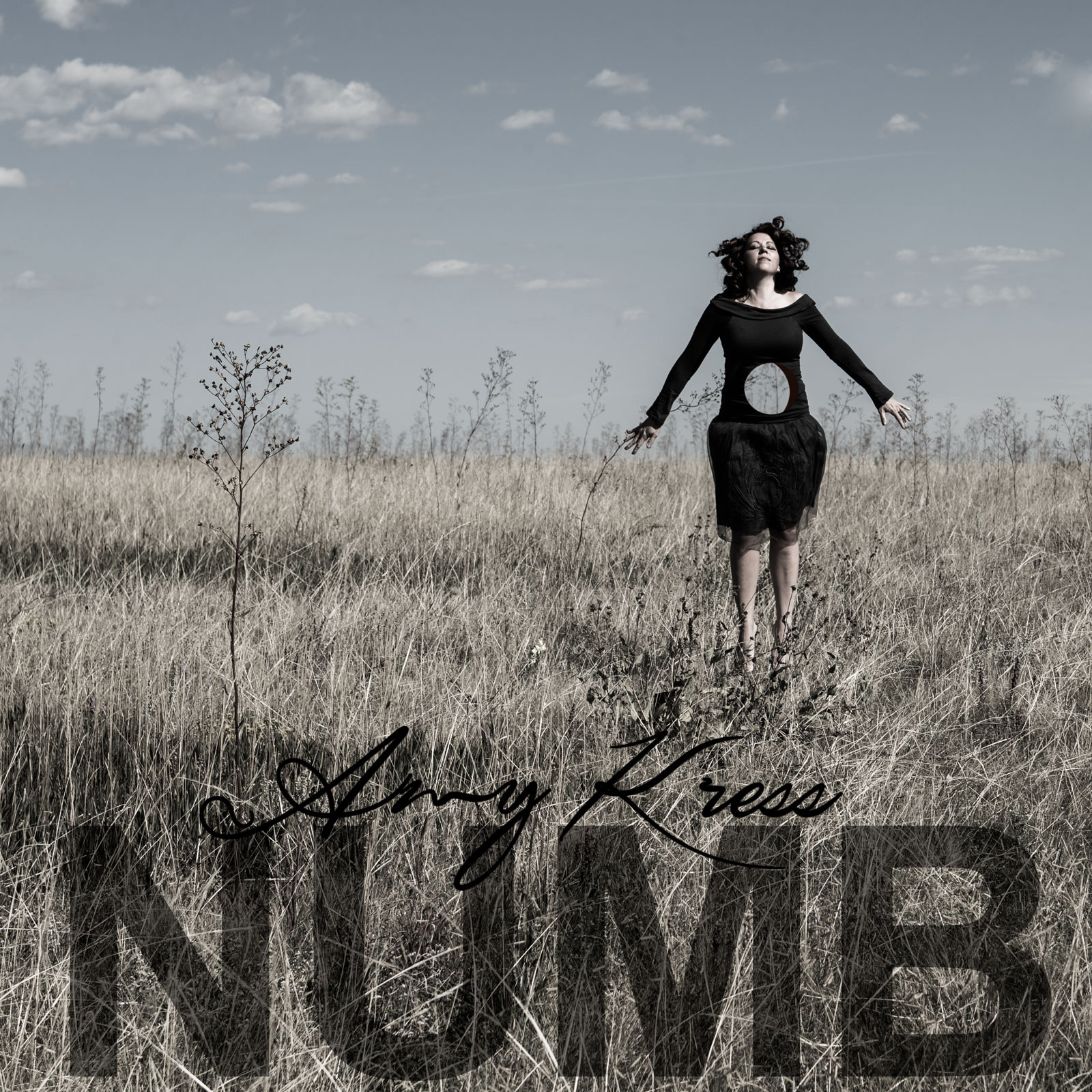 Amy Kress-Numb