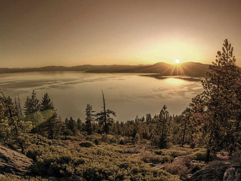 intensive outpatient'