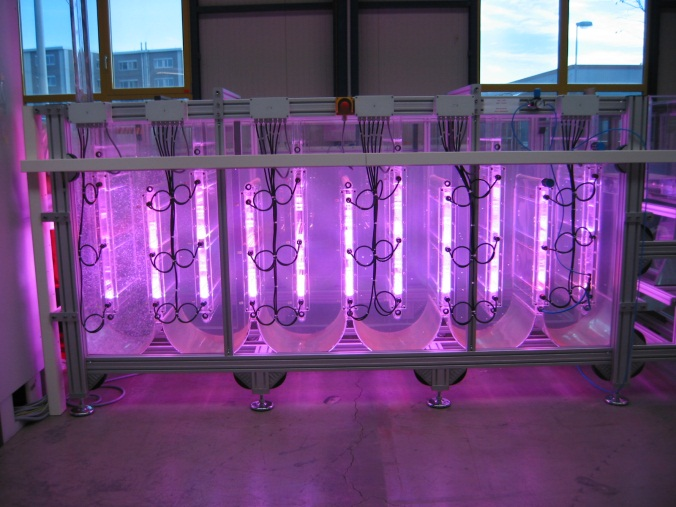 Microalgae reactor plant