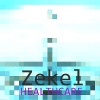 Zekel Healthcare'
