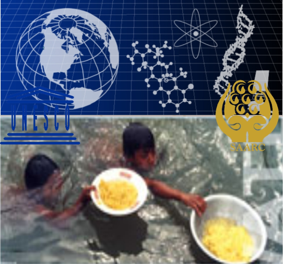 United Nations' IDDR-IWSP Convergent Obsevance 2014.