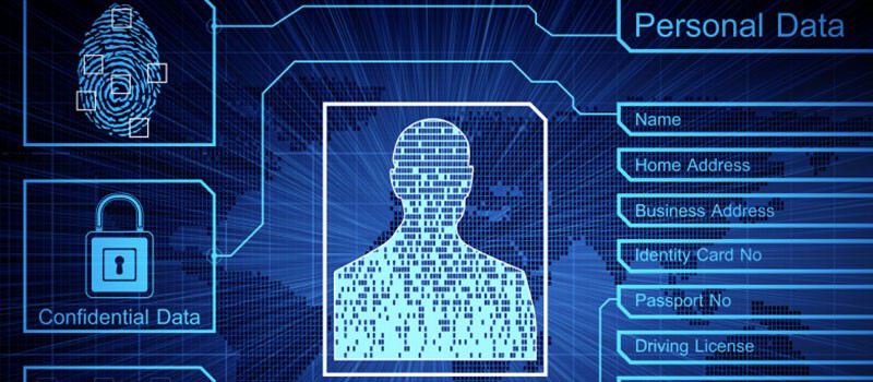 Unlimited Background Checks