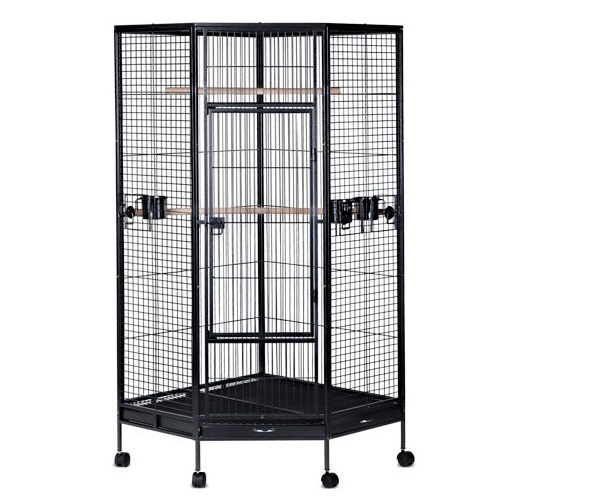 AUSTRALIAN COMPANY COOPS AND CAGES ADMITTED WISHING TO GAIN