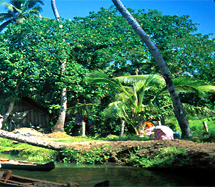Kerala Backwaters