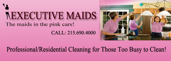 Executive Maids Logo