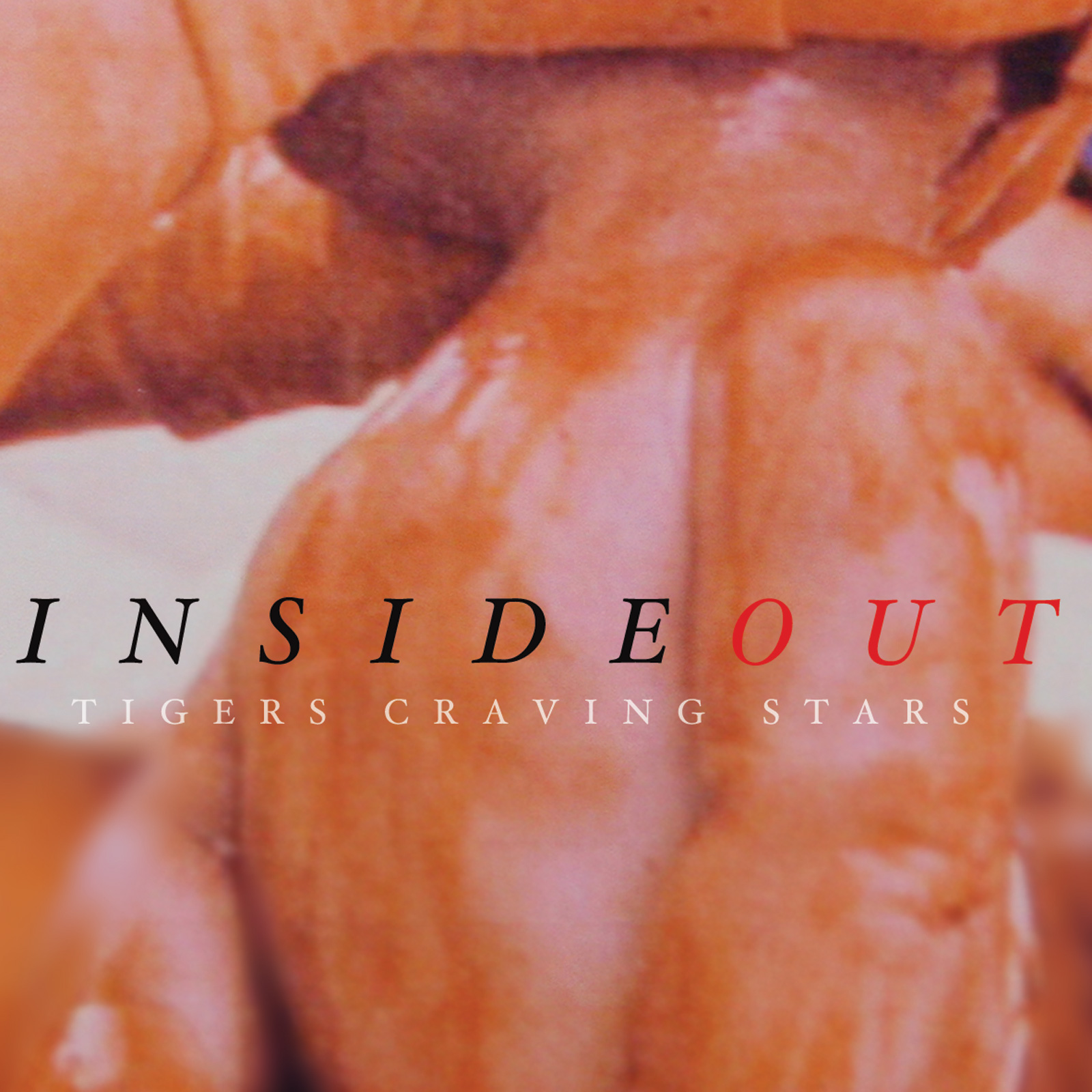 Tigers Craving Stars