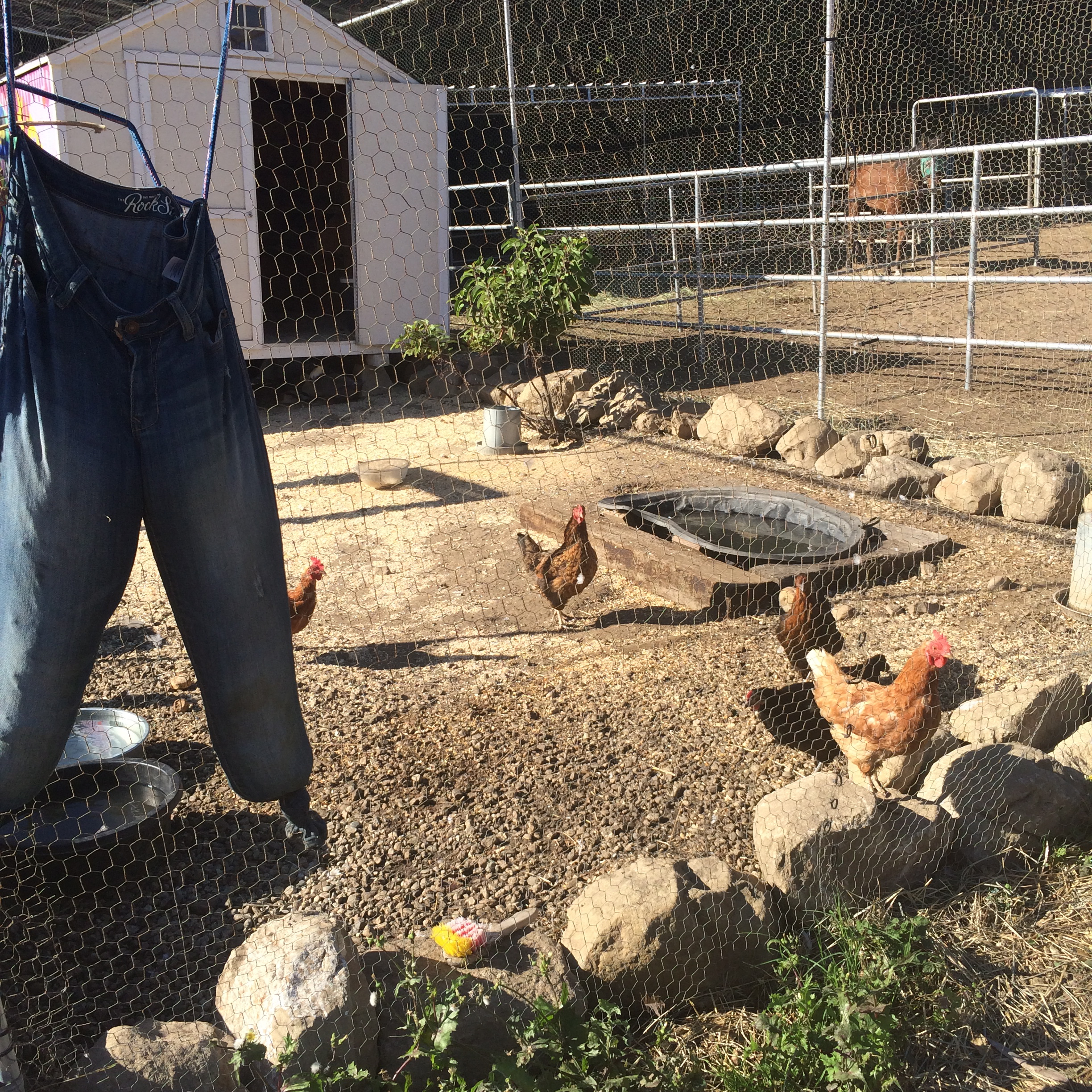 ACADIA MALIBU &ndash; THE POSITIVE IMPACT of EXPERIENTIA