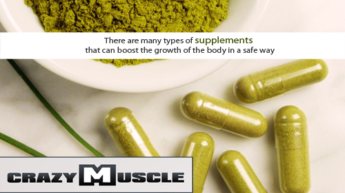 Muscle Building Supplements'